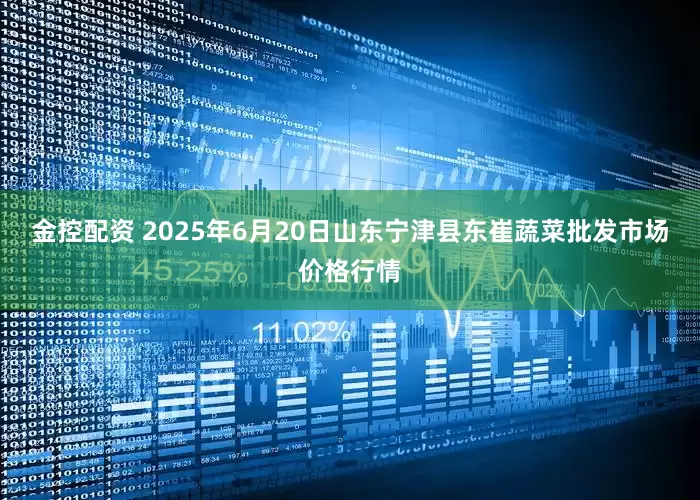 金控配资 2025年6月20日山东宁津县东崔蔬菜批发市场价格行情