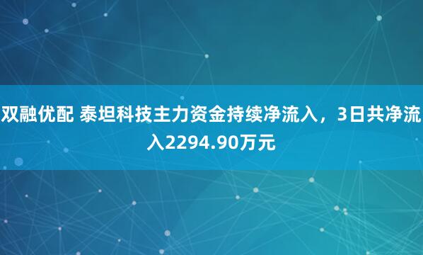 双融优配 泰坦科技主力资金持续净流入，3日共净流入2294.90万元