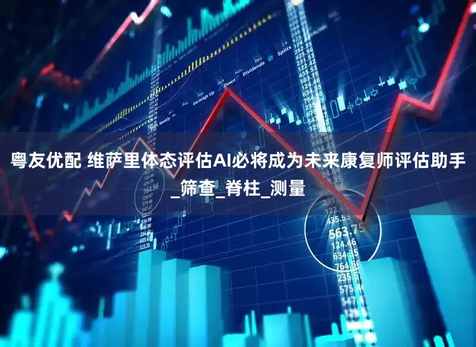 粤友优配 维萨里体态评估AI必将成为未来康复师评估助手_筛查_脊柱_测量