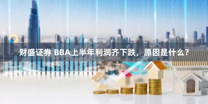 财盛证券 BBA上半年利润齐下跌，原因是什么？