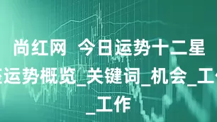 尚红网  今日运势十二星座运势概览_关键词_机会_工作
