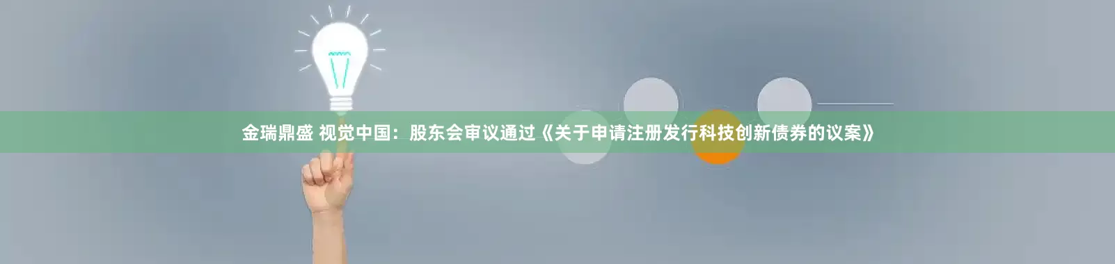 金瑞鼎盛 视觉中国：股东会审议通过《关于申请注册发行科技创新债券的议案》